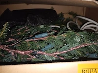 Lot 29 - kerstboom - afbeelding 3 van  3