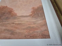 Lot 3 stuks - afbeelding 2 van  4