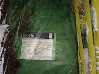 Lot 30 - verta potgrond tropische planten - 6 stuks - afbeelding 3 van  5