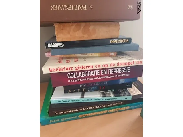 Lot 31 - boeken. 17 stuks - afbeelding 2 van  3