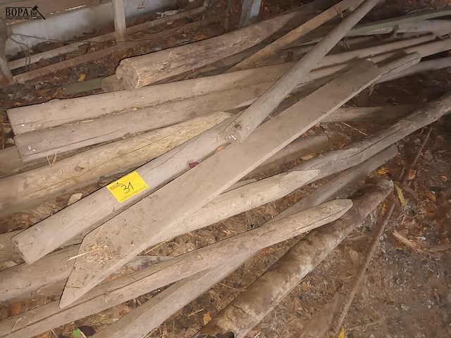 Lot 31 - lot houten palen - afbeelding 1 van  3
