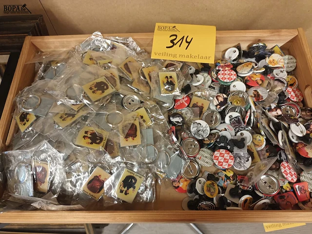 Lot 314 - lot pins en sleutelhangers - afbeelding 1 van  4