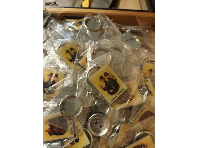 Lot 314 - lot pins en sleutelhangers - afbeelding 2 van  4