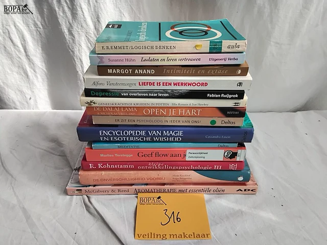 Lot 316 - lot boeken, welzijn liefde psychologie, 14 stuks - afbeelding 1 van  1