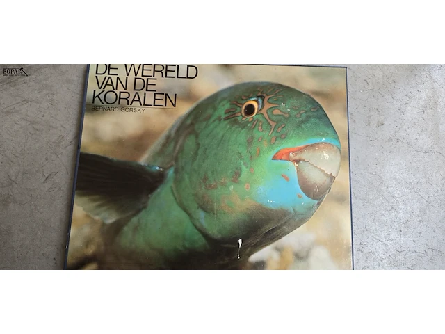 Lot 32 - diverse koralen en boek 'de wereld van de koralen' - afbeelding 6 van  10