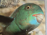 Lot 32 - diverse koralen en boek 'de wereld van de koralen' - afbeelding 6 van  10
