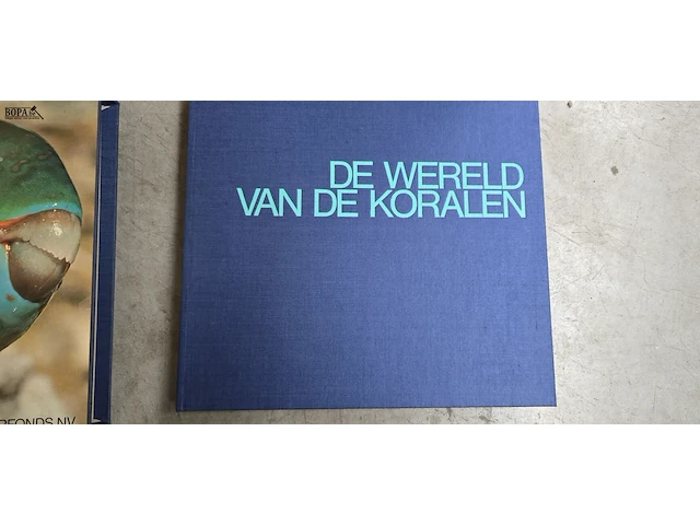Lot 32 - diverse koralen en boek 'de wereld van de koralen' - afbeelding 7 van  10