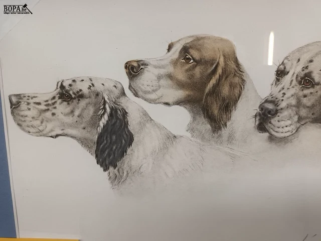 Lot 362 - kader honden - afbeelding 3 van  3