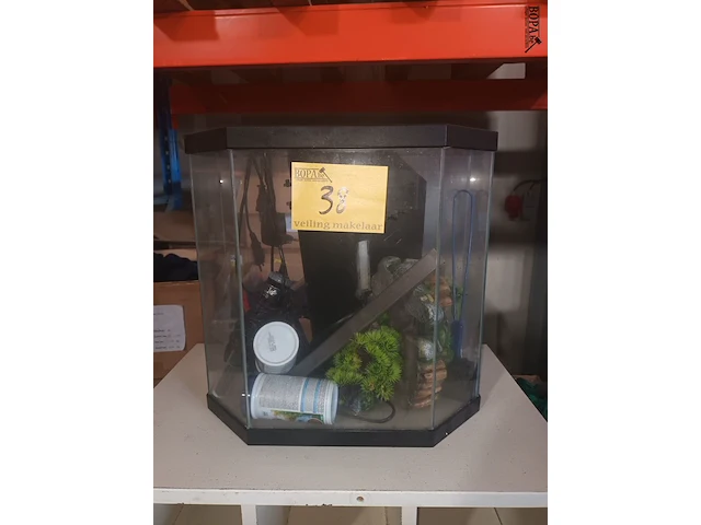 Lot 38 - aquarium - afbeelding 1 van  5