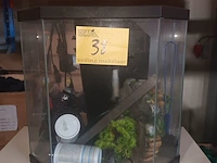 Lot 38 - aquarium - afbeelding 1 van  5