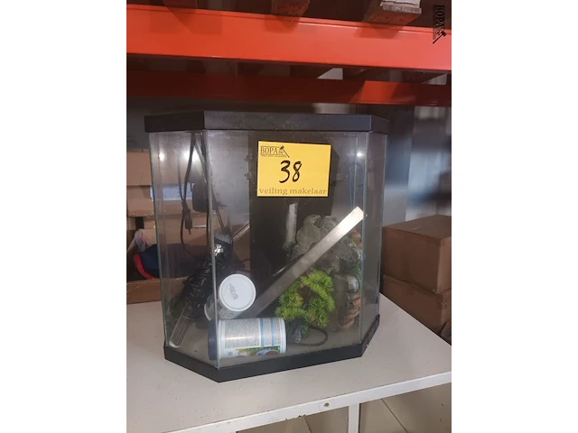 Lot 38 - aquarium - afbeelding 2 van  5