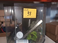 Lot 38 - aquarium - afbeelding 2 van  5