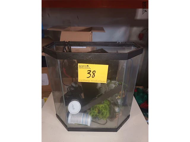 Lot 38 - aquarium - afbeelding 3 van  5