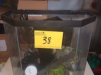 Lot 38 - aquarium - afbeelding 3 van  5