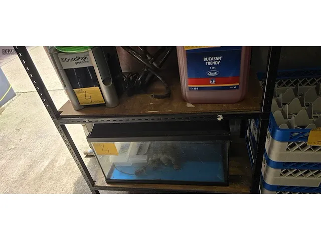 Lot 4 - aquarium met deco & pomp - afbeelding 1 van  8