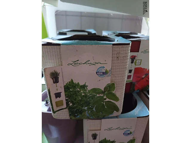 Lot 4 - bloempotjes - 35 stuks - afbeelding 3 van  4