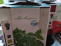 Lot 4 - bloempotjes - 35 stuks - afbeelding 3 van  4