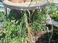 Lot 4 - terrastafeltje met stoelen - afbeelding 3 van  5