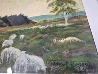 Lot 4 stuks - afbeelding 2 van  5