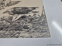 Lot 4 stuks - afbeelding 3 van  5
