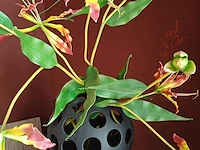 Lot 40 - lot decoratie - afbeelding 2 van  3