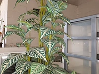Lot 405 - kunststof plant in pot - afbeelding 2 van  3