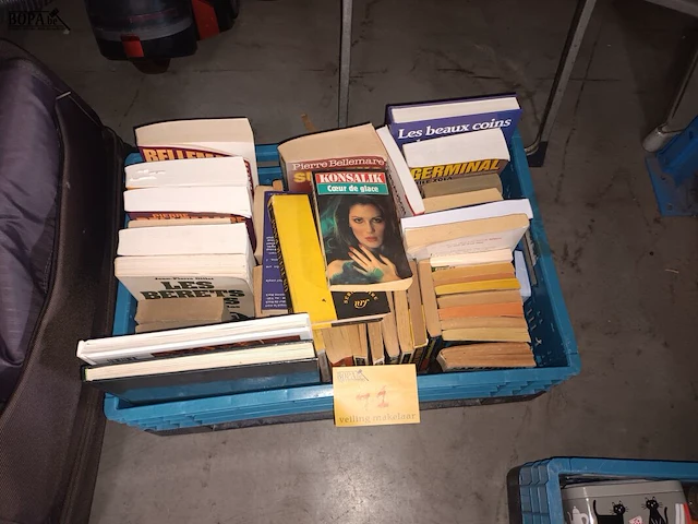 Lot 41 - boeken. 1 bak - afbeelding 1 van  2