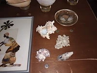 Lot 410 - naturalia. 18 stuks - afbeelding 3 van  6