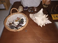 Lot 410 - naturalia. 18 stuks - afbeelding 5 van  6