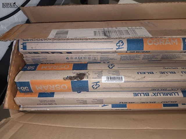 Lot 42 - tl-lampen wit en blauw. 19 stuks - afbeelding 2 van  3