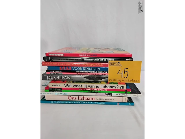 Lot 45 - lot boeken, lagere school kinderen, 13 stuks - afbeelding 1 van  1