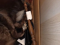 Lot 450 - bont, tasjes en borstel. 8 stuks - afbeelding 2 van  3