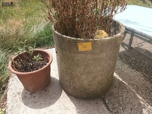 Lot 46 - bloempot en bloembak - afbeelding 1 van  3