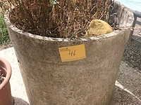 Lot 46 - bloempot en bloembak - afbeelding 3 van  3