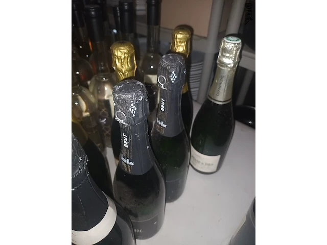 Lot 46 - cava en champagne. 11 stuks - afbeelding 3 van  4