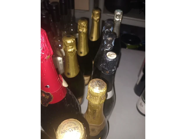 Lot 46 - cava en champagne. 11 stuks - afbeelding 4 van  4
