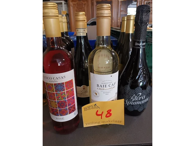 Lot 48 - flessen wijn. 17 stuks - afbeelding 3 van  5
