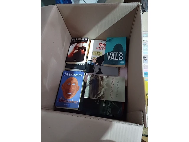 Lot 48 - leesboeken - 1 doos - afbeelding 1 van  3