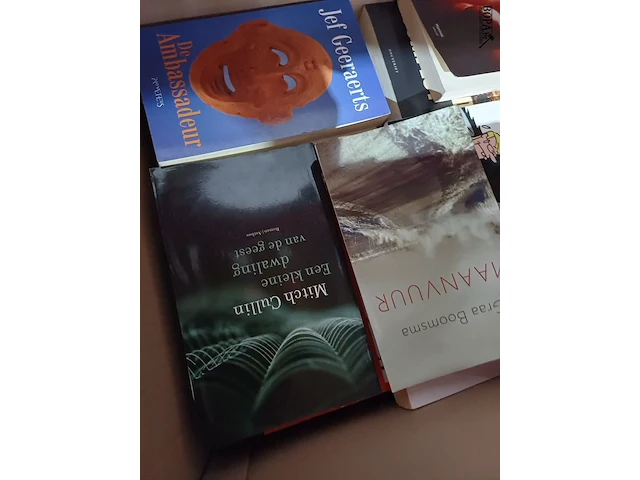 Lot 48 - leesboeken - 1 doos - afbeelding 2 van  3