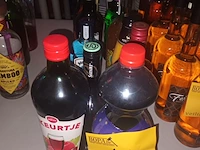 Lot 49 - diverse alcoholische dranken. 12 stuks - afbeelding 1 van  3
