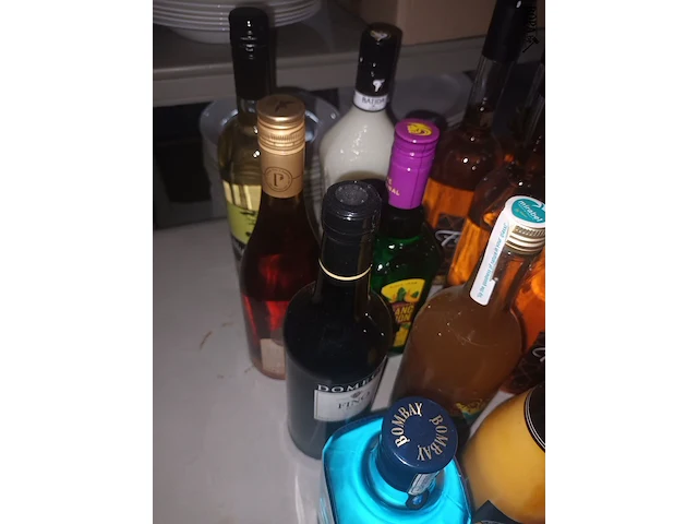 Lot 49 - diverse alcoholische dranken. 12 stuks - afbeelding 2 van  3