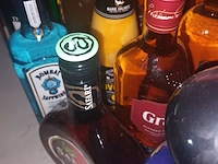 Lot 49 - diverse alcoholische dranken. 12 stuks - afbeelding 3 van  3