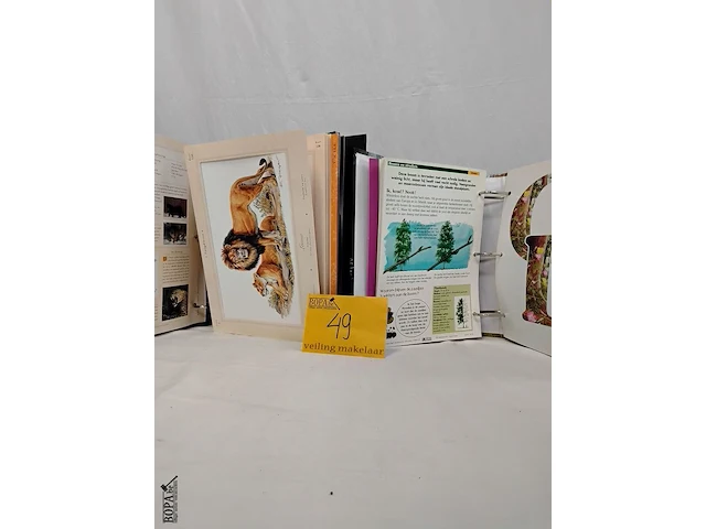 Lot 49 - lot boeken, natuur voor jeugd, 7 stuks - afbeelding 2 van  2