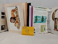 Lot 49 - lot boeken, natuur voor jeugd, 7 stuks - afbeelding 2 van  2