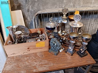 Lot 5 - trofeeën - afbeelding 1 van  3