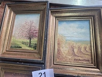Lot 5 stuks - afbeelding 2 van  4