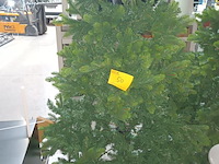 Lot 50 - kerstboom op voet - afbeelding 1 van  4