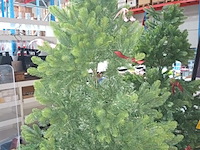 Lot 50 - kerstboom op voet - afbeelding 2 van  4