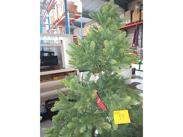 Lot 51 - kerstboom op voet - afbeelding 3 van  4