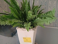 Lot 54 - decoratie divers - afbeelding 4 van  4